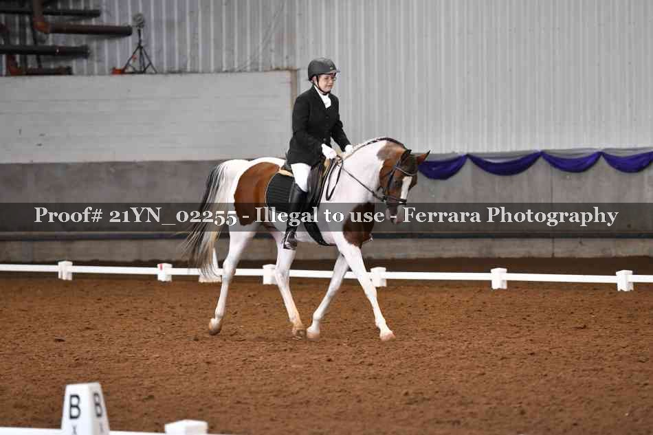 Proof 21YN_02255