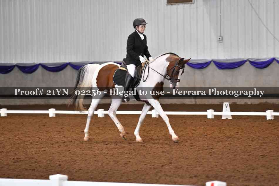 Proof 21YN_02256