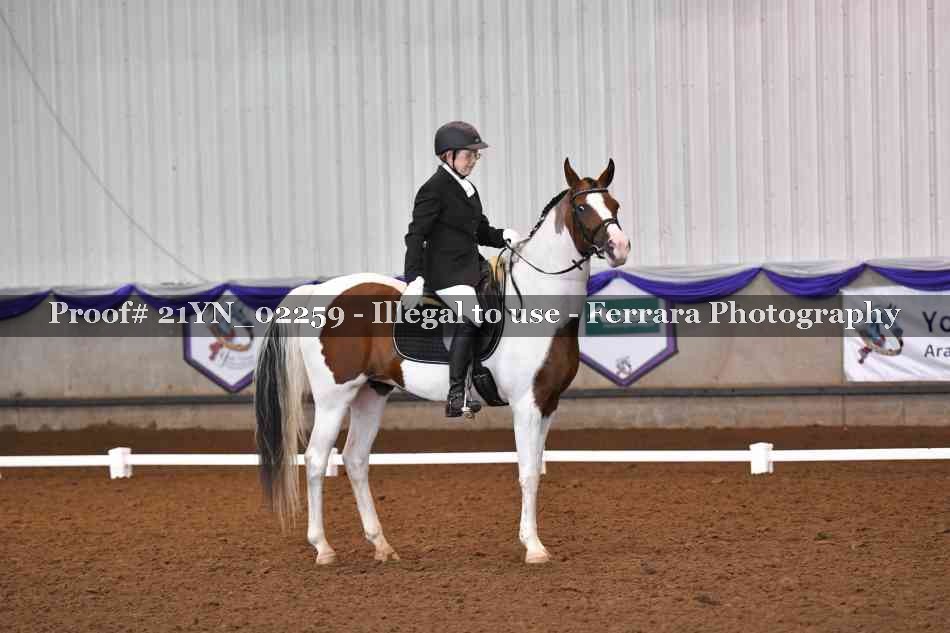Proof 21YN_02259