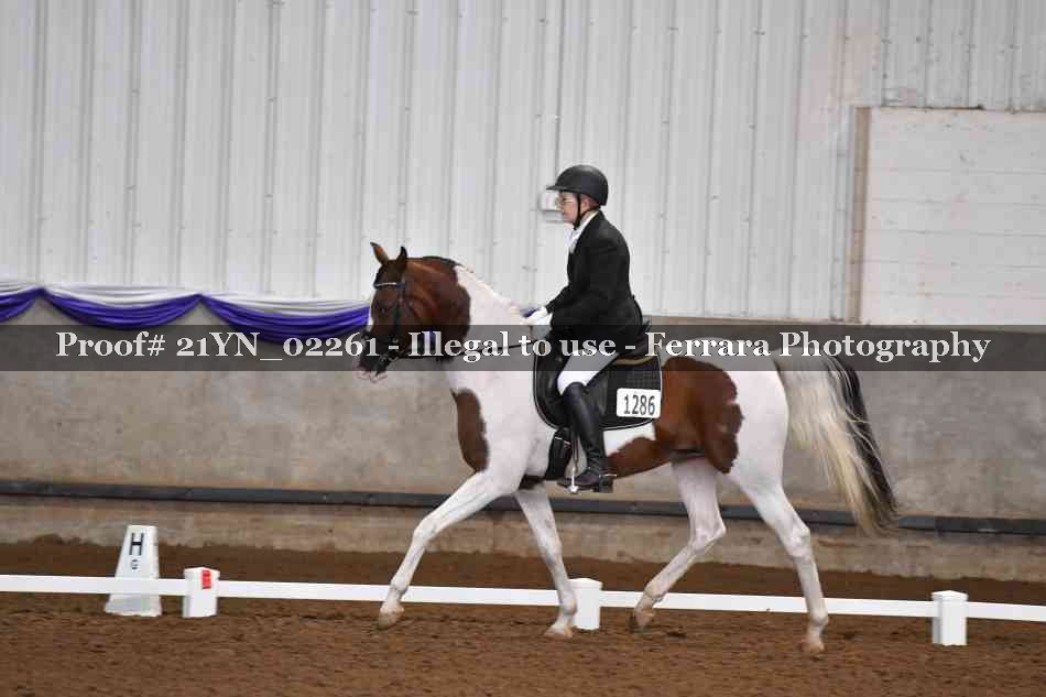 Proof 21YN_02261