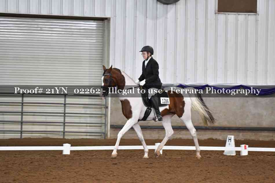 Proof 21YN_02262