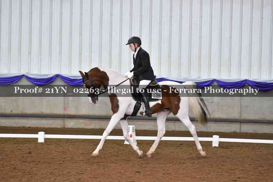 Proof 21YN_02263