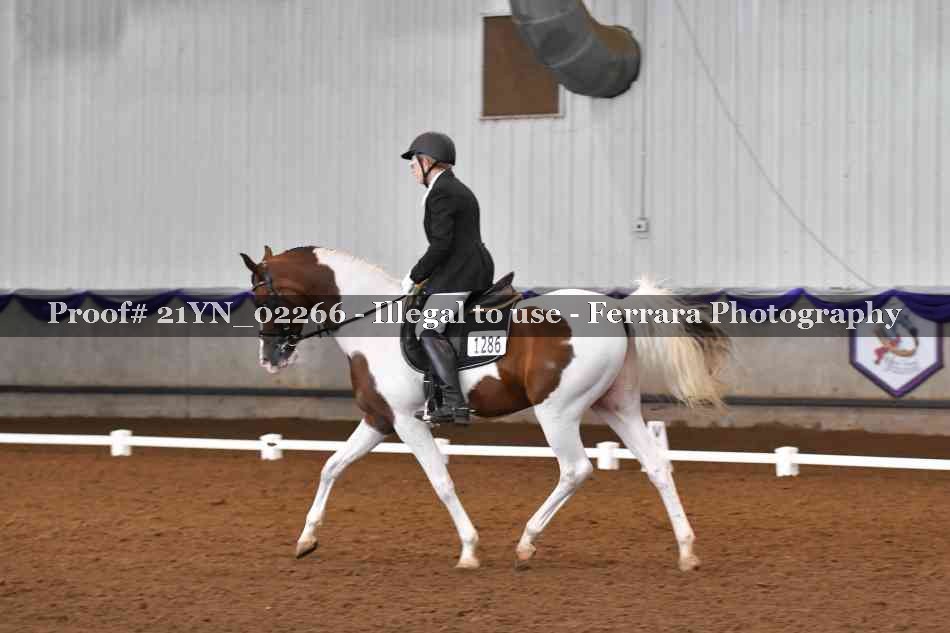 Proof 21YN_02266