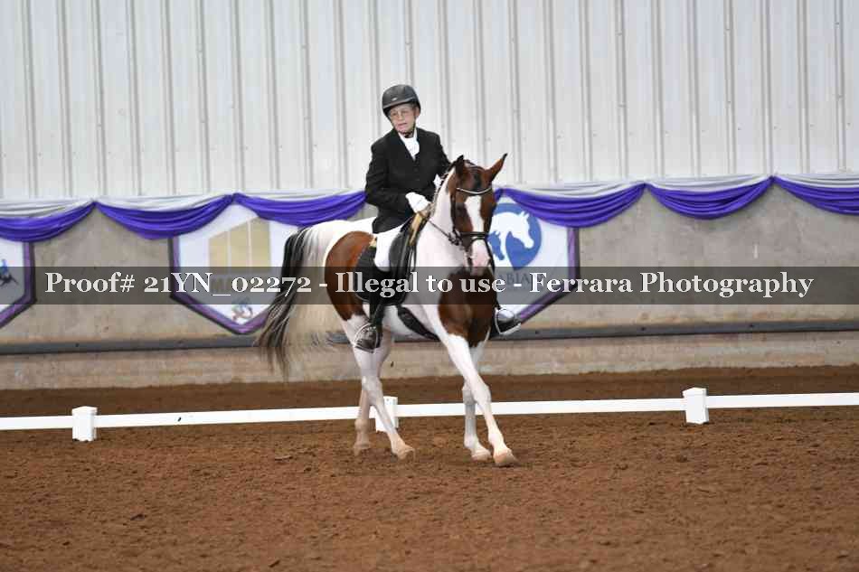 Proof 21YN_02272