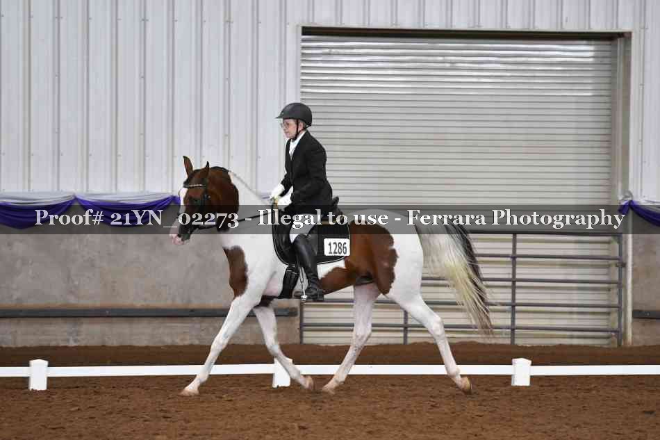 Proof 21YN_02273