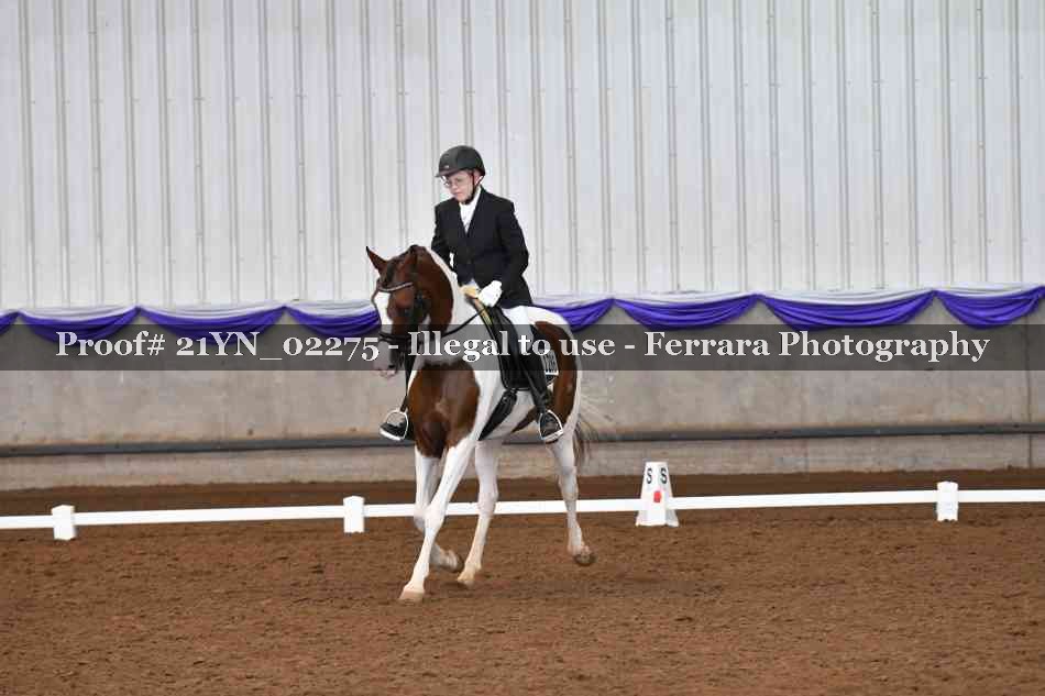 Proof 21YN_02275