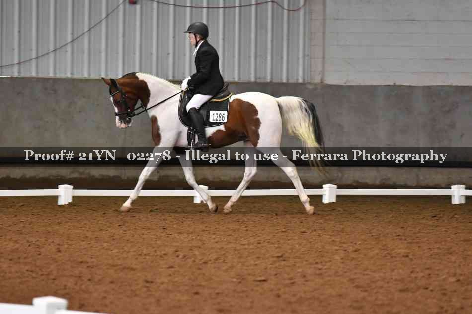 Proof 21YN_02278