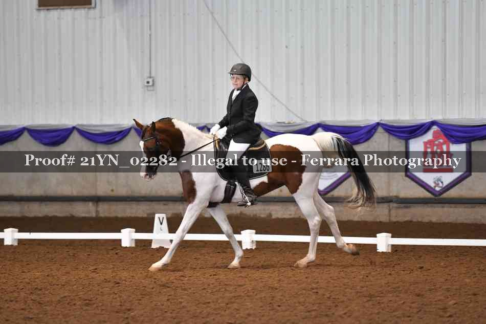 Proof 21YN_02282