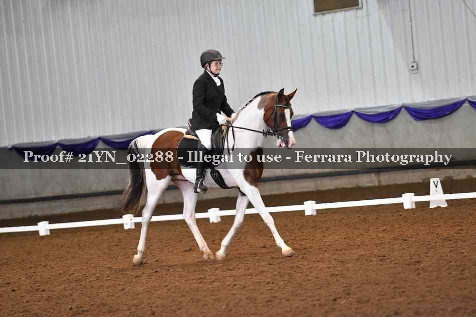 Proof 21YN_02288