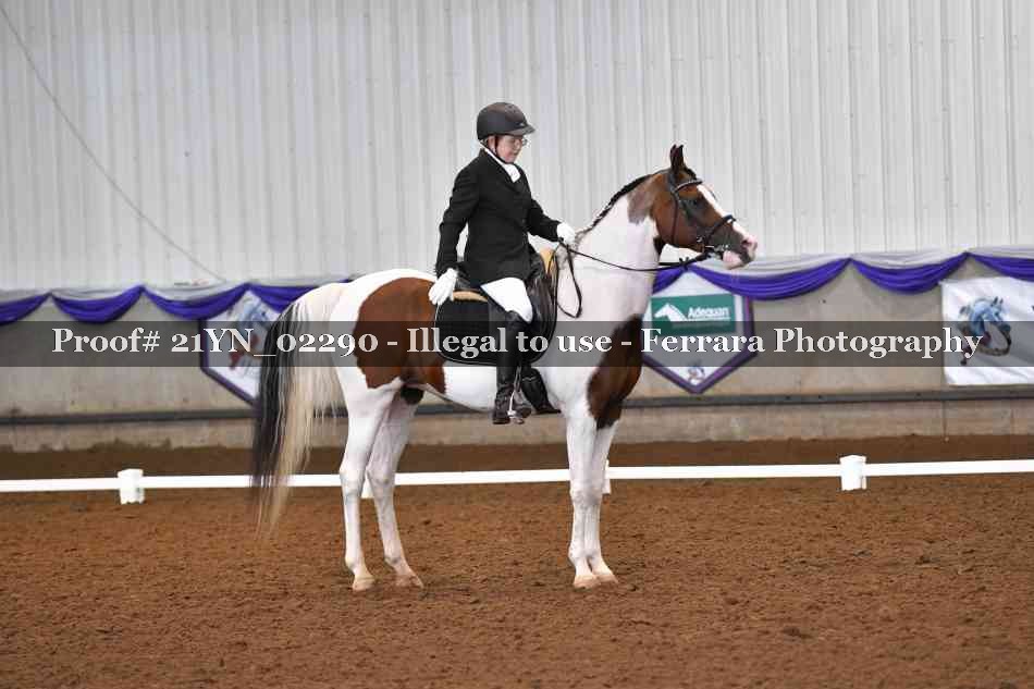 Proof 21YN_02290