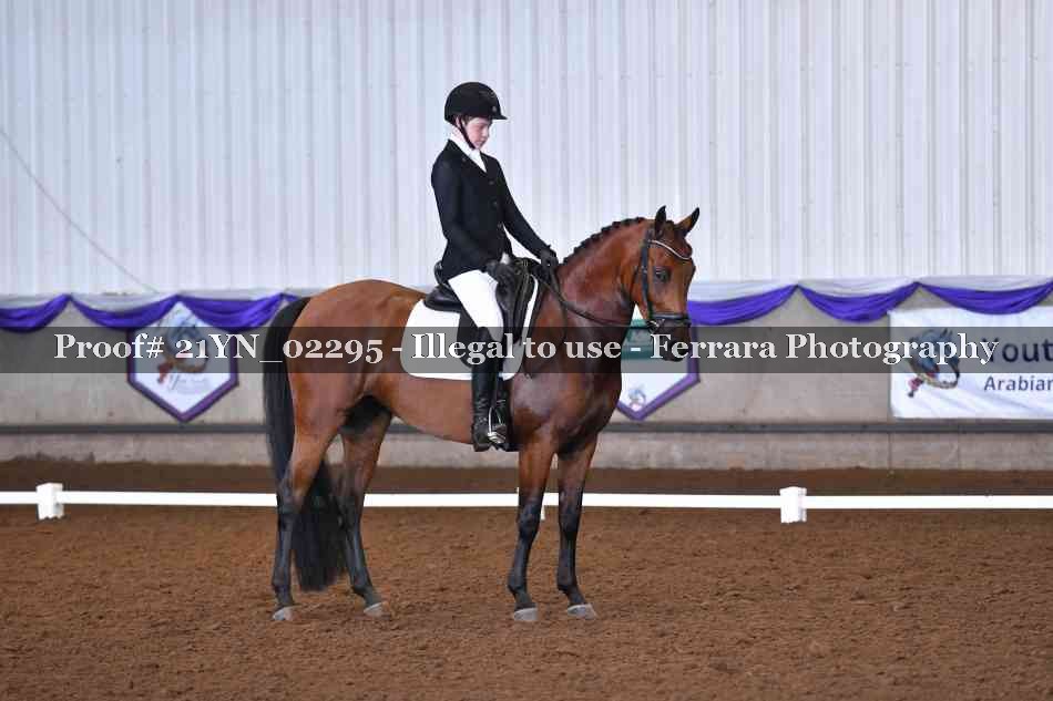 Proof 21YN_02295
