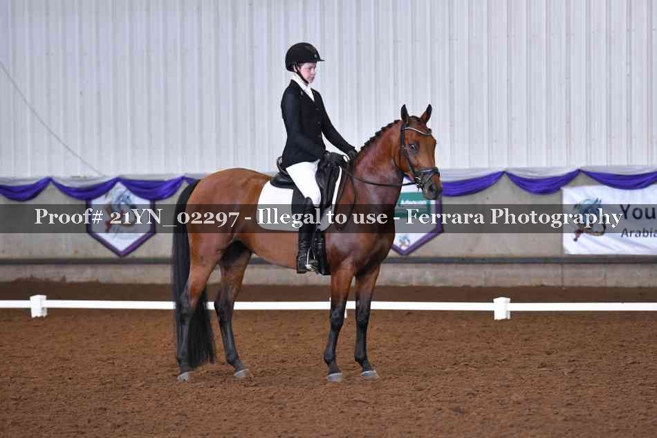 Proof 21YN_02297