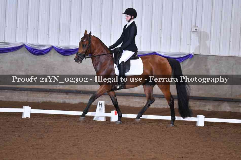 Proof 21YN_02302