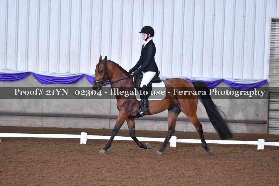 Proof 21YN_02304
