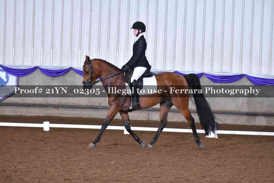 Proof 21YN_02305