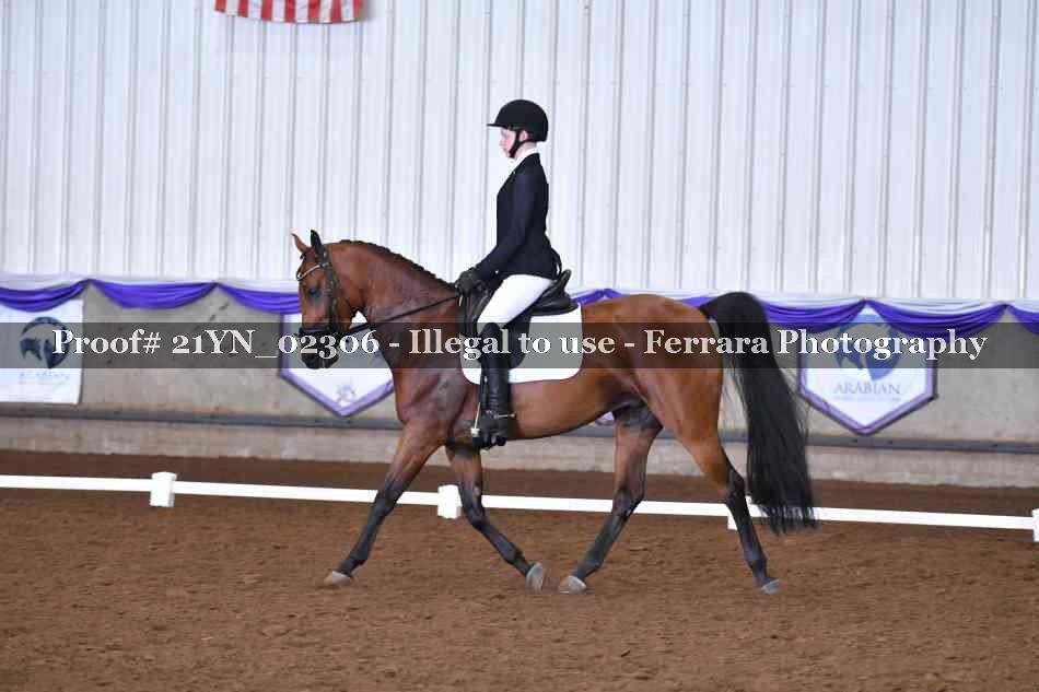 Proof 21YN_02306