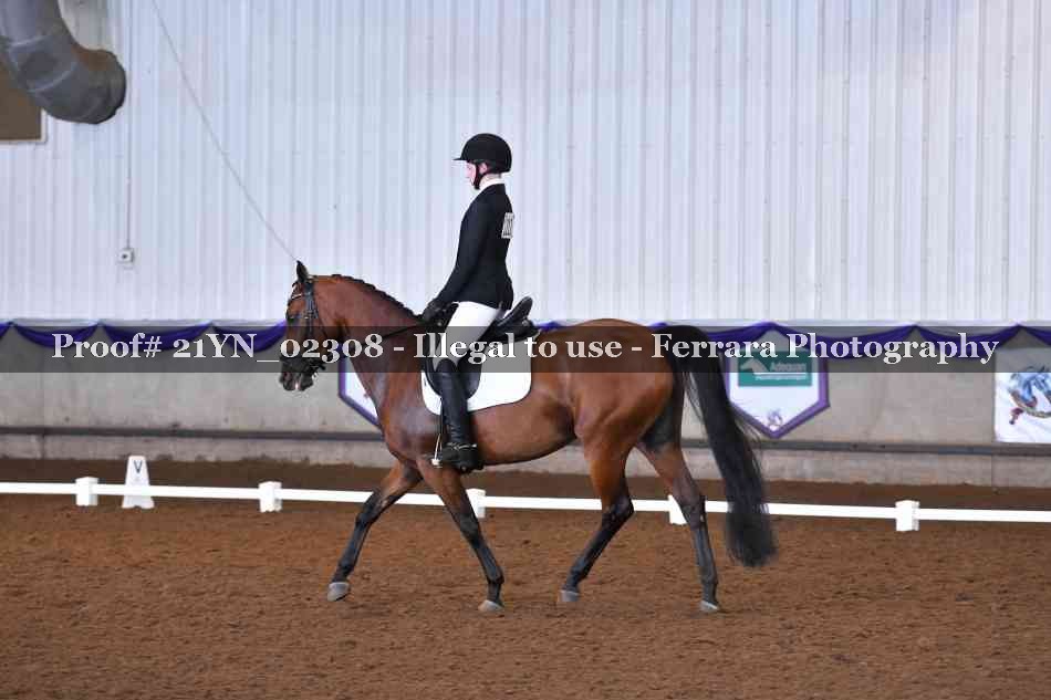 Proof 21YN_02308