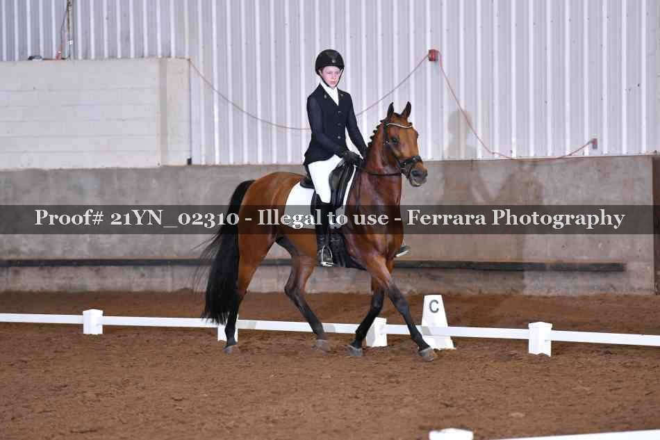 Proof 21YN_02310