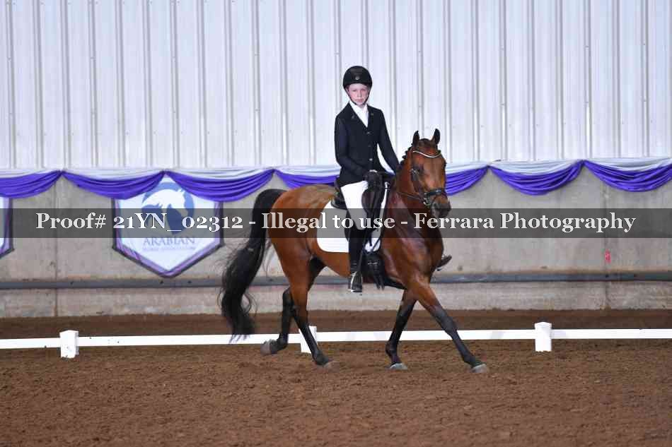 Proof 21YN_02312