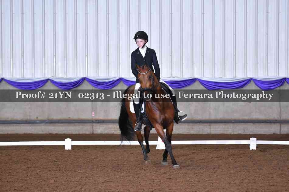 Proof 21YN_02313