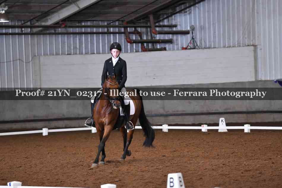 Proof 21YN_02317