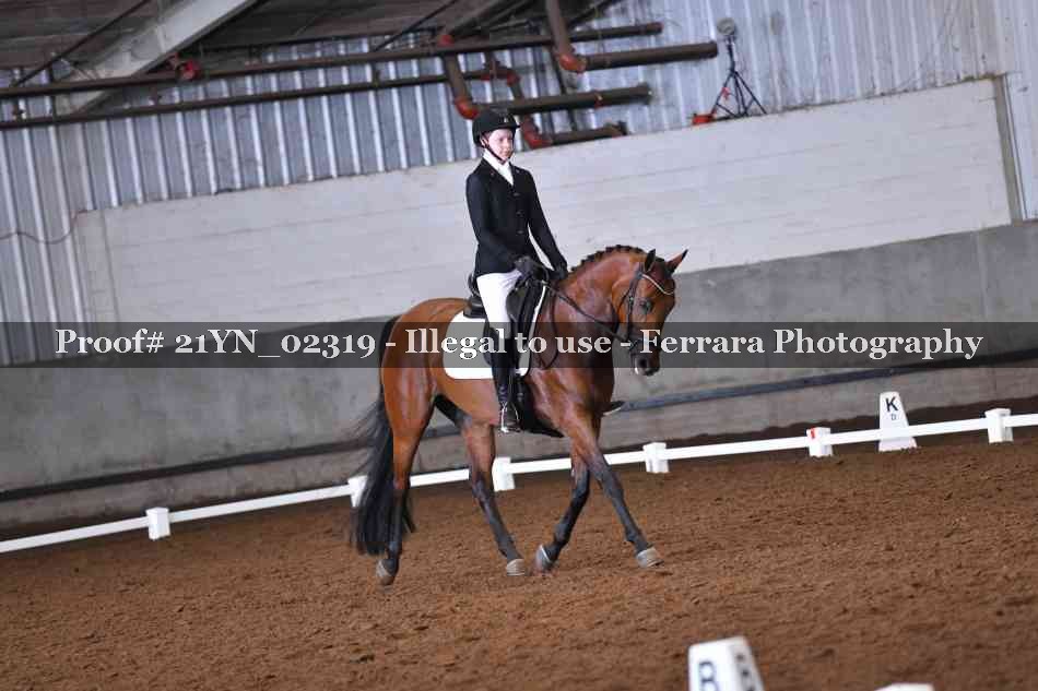 Proof 21YN_02319