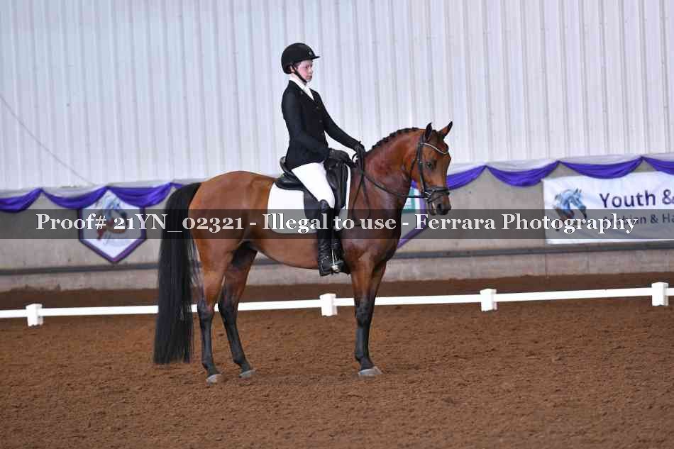 Proof 21YN_02321