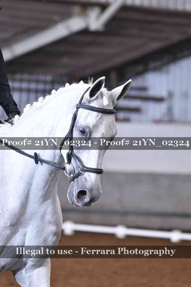 Proof 21YN_02324