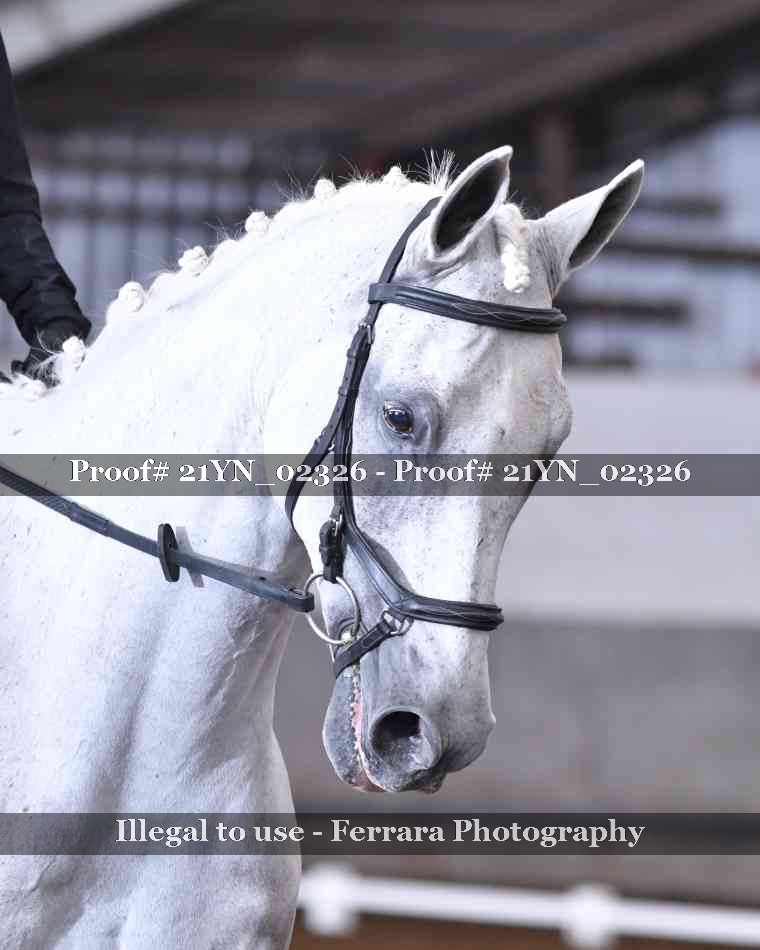 Proof 21YN_02326