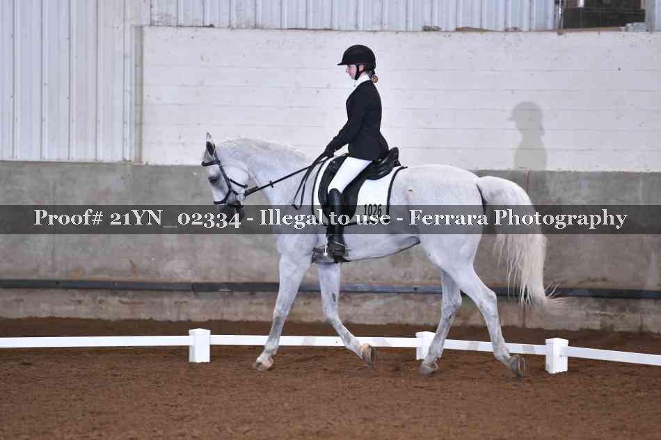 Proof 21YN_02334