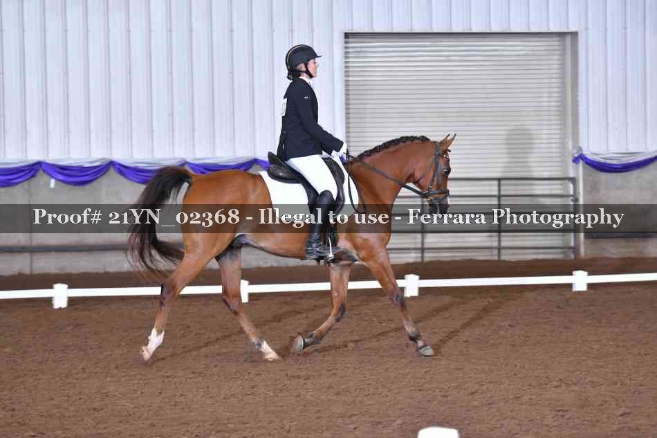 Proof 21YN_02368