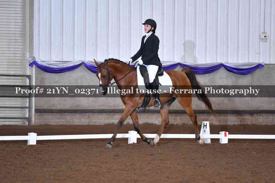 Proof 21YN_02371