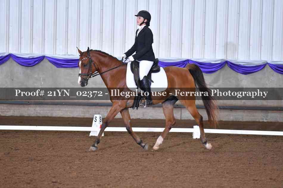 Proof 21YN_02372