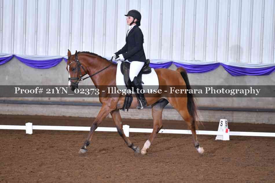 Proof 21YN_02373
