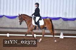 21YN_02373 proof