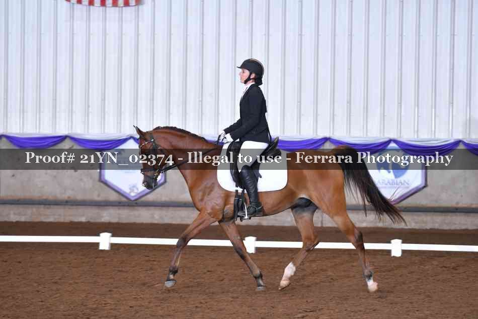 Proof 21YN_02374