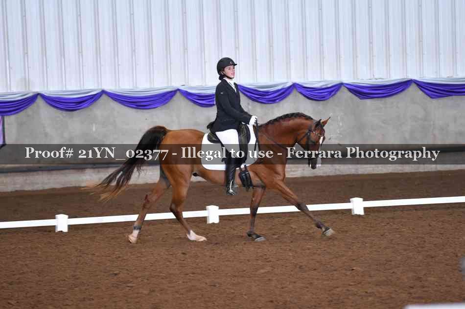 Proof 21YN_02377
