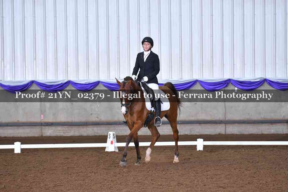 Proof 21YN_02379