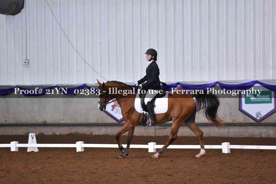 Proof 21YN_02383