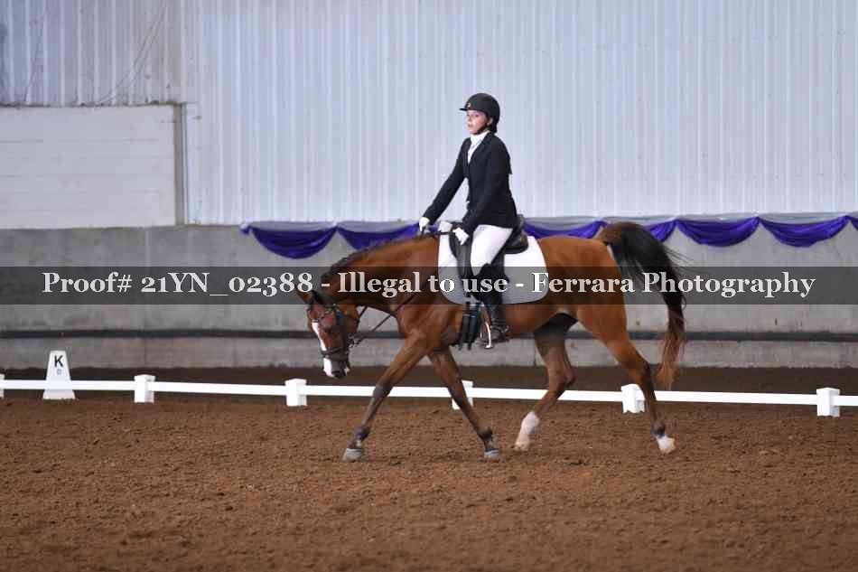 Proof 21YN_02388