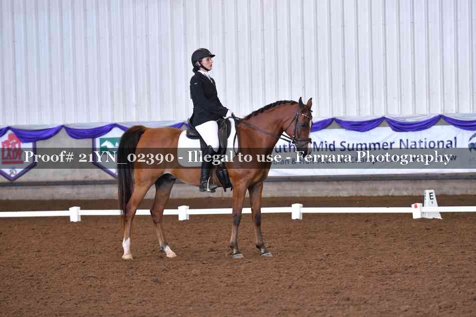 Proof 21YN_02390