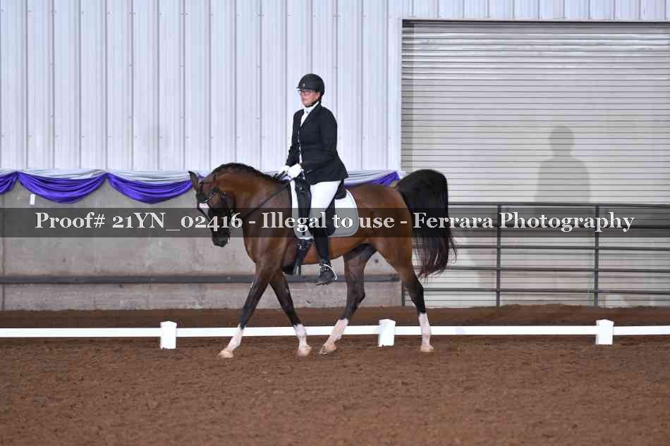 Proof 21YN_02416