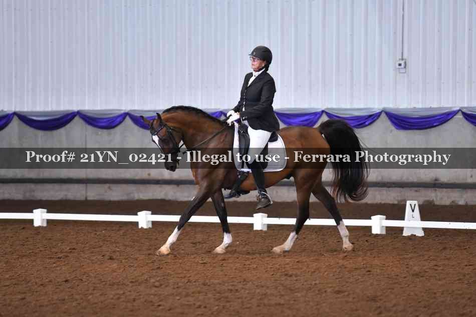 Proof 21YN_02421
