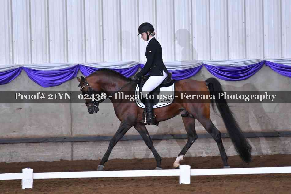 Proof 21YN_02438