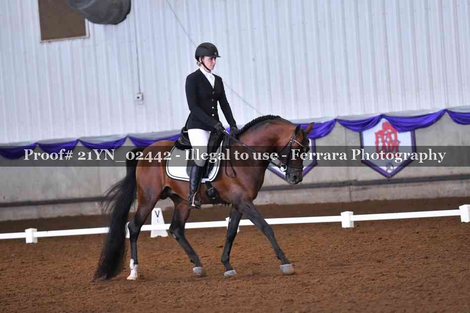 Proof 21YN_02442