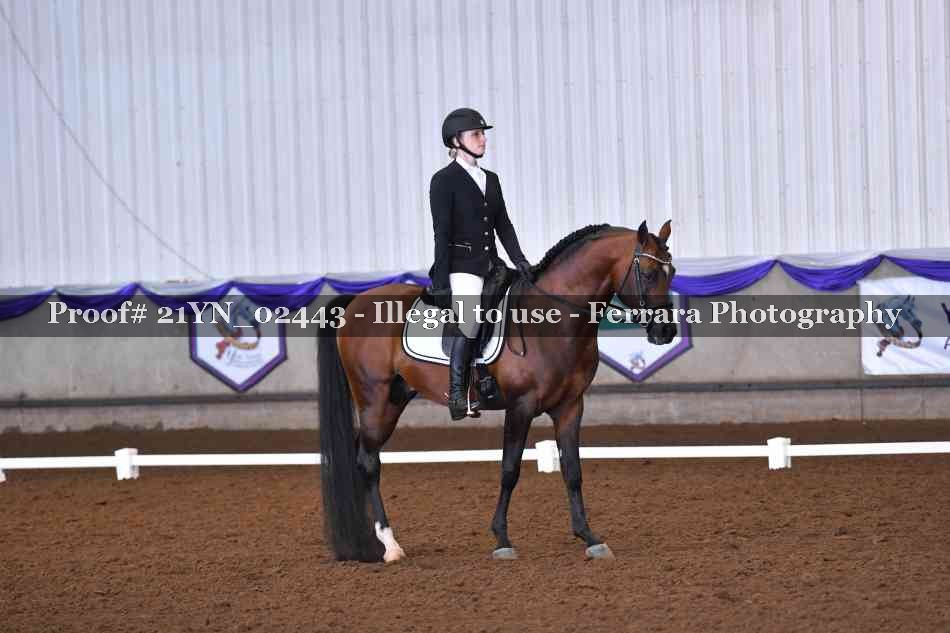 Proof 21YN_02443