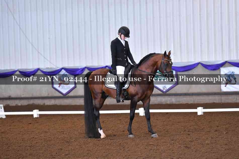 Proof 21YN_02444