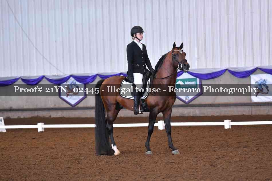 Proof 21YN_02445