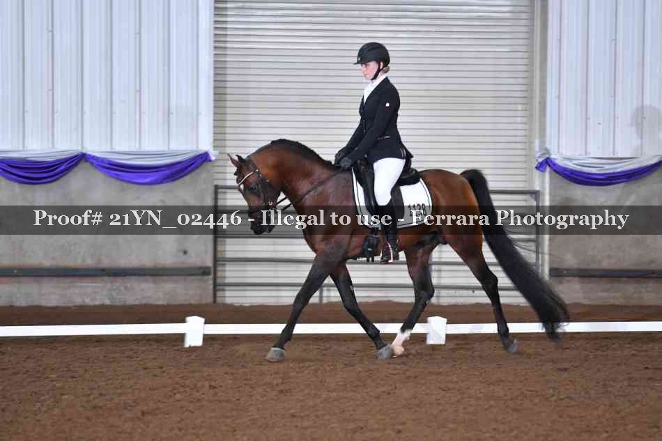 Proof 21YN_02446
