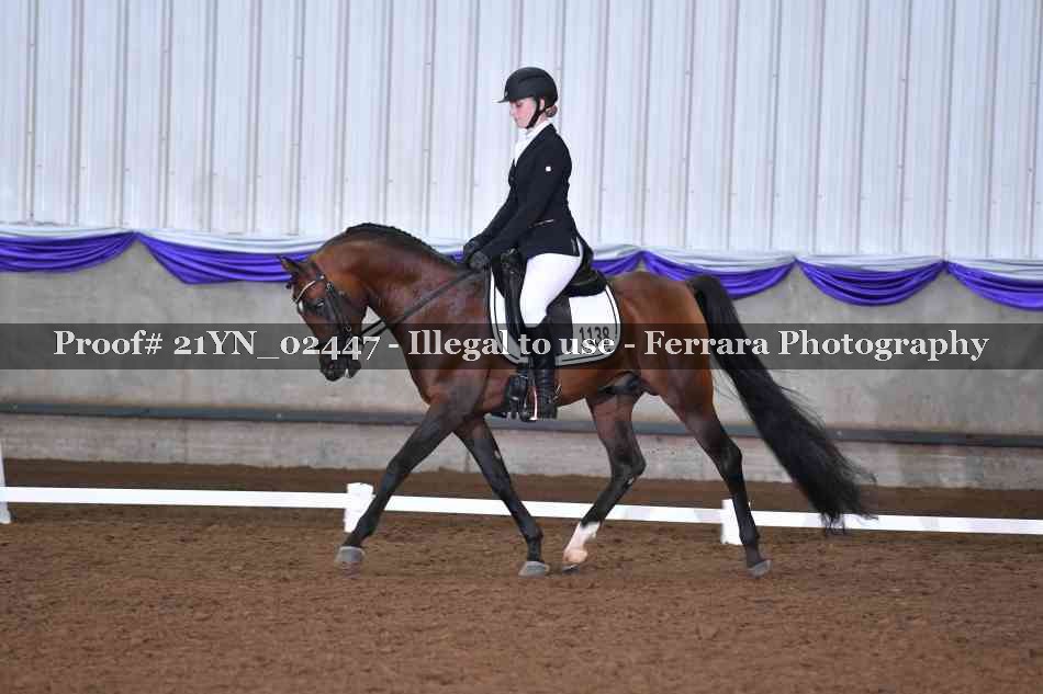 Proof 21YN_02447